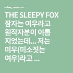 *손뜨개인형도안* 잠자는 여우(해외공개도안) | 여우, 코바느질뜨기, 이름