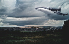 whale cloud - Google 검색 | 배경