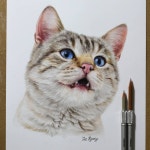 색연필 1 (colored pencil)에 있는 핀