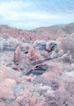 나가노 벚꽃마을 | 자연스러운, 풍경 배경화면, 여행