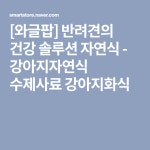 [와글팝] 반려견의 건강 솔루션 자연식 - 강아지자연식 수제사료 강아지화식 | 건강