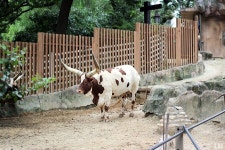 어린이대공원 | 동물원