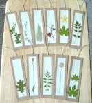 Leaf bookmarks | Cards and Crafts | Pinterest | 공예, 압화, 재밌는 공예