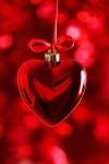 Pin by 태원 권 on 마음;사랑,愛,LOVE | Raindrops, roses, Red christmas, Red aesthetic