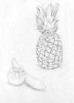 [정물소묘/과정작] 파인애플, 오이, 토마토 | Pencil drawings, Drawings, Ap art