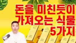 E11. 부자집은 이런거 키워🌿 부자 만들어주는 5가지 식물들🪴💰 / 식물풍수인테리어 - 2023 | 풍수, 미래도시, 아이디어