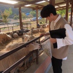 야아앙🐏 . . . . . .  양  양떼목장  양평  건초  먹이  냠냠  버터링 🐏  🐑 | Instagram posts, Instagram, Site