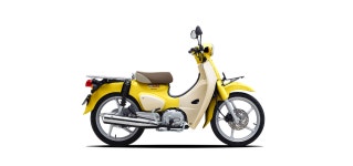 [지모토] 강남점 2020 혼다 슈퍼커브110 : GMOTO | 핸들 커버, 박물관, 오토바이