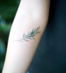 #tattoo #tattoodesign #olive #colortattoo #koreatattoo #타투 #타투도안 #올리브 #컬러타투 #타투이스트 #난도타투#BOTANIC#COLOR...