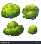 To Help the Artist에 있는 Mariya Karyagina님의 핀 | 꽃 스케치, 수채화 강좌, 식물