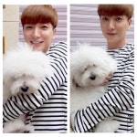 #멍뭉이#기엽당!!#이뻐ㅠㅠ#포미닛#소현이#반려견#난바빠서#못키워 ㅠㅠ..#근데#넘이쁘다#꼬똥드툴레아.. | Kyuhyun