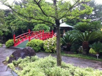 Yeomiji Botanical Garden in Jeju Seoguipo Joogmoon(제주 서귀포 중문) (With images) | Jeju island