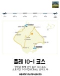 구석구석 걸어보자 제주도 올레코스 5곳! 2탄 : 네이버 포스트 - 2020 | 여행