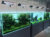 _Aqua에 있는 BattleDOll님의 핀