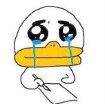 draw!에 있는 grtA님의 핀 - 2023 | 웃긴 밈, 웃긴, 밈