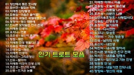 인기 트로트 모음 - 가을에 어울리는 쓸쓸한 노래들입니다. 듣기좋은 가을 노래!