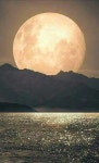Moon에 있는 경하 노님의 핀 | 달빛, 배경화면, 달