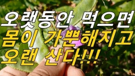 자료실에 있는 이린 아님의 핀 - 2020 | 약초, 건강, 건강관리