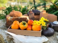 Instagram의 @honeynamoo님: “감나무 주렁주렁달린 감이 탐스러웠던 마당 끝에있는 작은감나무 지난 태풍에 거의 떨어지고 몇알 안남았네... 