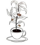 ［천재처럼］커피나무 coffee tree | Coffee doodle, Coffee illustration, Coffee painting