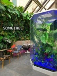 인조나무의 모든것 송트리 in 2020