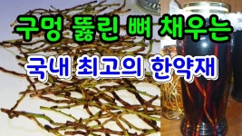 Pin by 영호 on 약초 in 2022