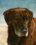 Custom Watercolor Pet Portrait | 예술