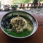 Instagram의 Jae_Han_E Lv.27님: “#첫줄안녕 . . . . #섬진강 #맛집 #제첩 #제첩국수 #국수 #먹스타그램 #맛스타그램 #먹방 #food... 