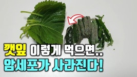 약초에 있는 핀