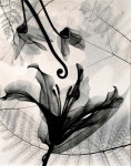 Pin on 모던민화