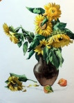 [꽃 정물수채화] 해바라기가 있는 정물 - 수채화과정 (아르쉬. 황목) | 유화 꽃, 해바라기 그림, 꽃