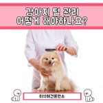 털 종류별 관리법 / 강아지 털 관리 어떻게 해야 하나요? 안녕하세요. 이삭애견훈련소입니다! 강아지 털은 품... | Dogs, Animals