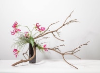 동양에 있는 오정화님의 핀 | 꽃꽂이, 이케바나, 꽃