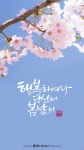 봄날 캘리그라피 - 2023 | 손글씨, 배경, 일러스트레이션