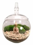 •플랜테리어 Terrarium 으로 나만의 아늑한 실내정원 만들기! in 2020 | Indoor plants, Moss terrarium, Meditation gifts