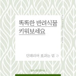 배너에 있는 sun님의 핀 - 2020 | 템플릿, 웹디자인, 디자인