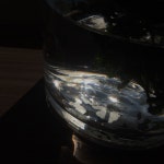 흘러 들어오는 빛.