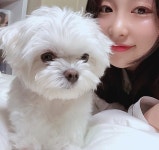 울집 사랑둥이 댕댕이 빵댕이💓 #daily#반려견 di 2020