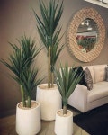•경주 펜트하우스 SG빌라앤호텔만의 특별함~! Plant Stand 자연과 공존하는 풀빌라 : 네이버 블로그 | House plants decor... 