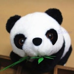 Lovely Panda - EXVIVER(이미지 포함) | 판다