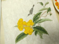 [수업 예시작] 송대화조화 비파수우도/세종시 동양화, 한국화, 민화, 채색화/세종 성인 취미 미술 : 네이버 블로그 | 한국화, 칠하기, 화실