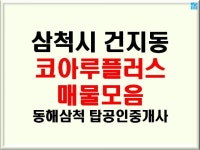 삼척시 건지동 코아루플러스 매물모음 | 삼척시