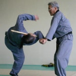 Ji Han Jae_ Cane Technique | 합기도, 검도, 기도