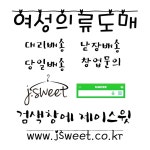 여성의류도매 쇼핑몰 ,여성의류도매사이트, 당일배송 여성도매쇼핑몰 여자도매쇼핑몰