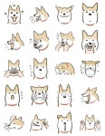 Afbeeldingsresultaat voor shiba inu cartoon | 강아지 그림, 귀여운 동물 그림, 고양이 그림