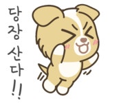 살구- 오지큐마켓 출시! | 이모티콘