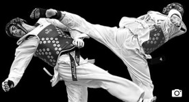 Pin by Ariel Han on 태권도  (Taekwondo) | Taekwondo, Martial arts, Different martial arts