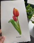 #수채화 #수채화일러스트 #flower #꽃 #꽃그리기 #꽃그림 #튤립 #tulip #일러스트 #watercolor … | 수채화, 꽃 그리기, 인물화 색연필화... 