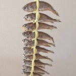 #영광꽃게장국보굴비 #국보굴비 #법성포영광굴비 #법성포굴비 #영광굴비 #밥도둑 #굴비 #영광굴비택배 #영광법성포굴비 | 굴