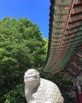 #제주#봄#한라산#천왕사 #landscape #nature #korea #jeju #spring  Cheonwangsa Temple. Jeju May. #제주#봄#한라산#천왕사... 